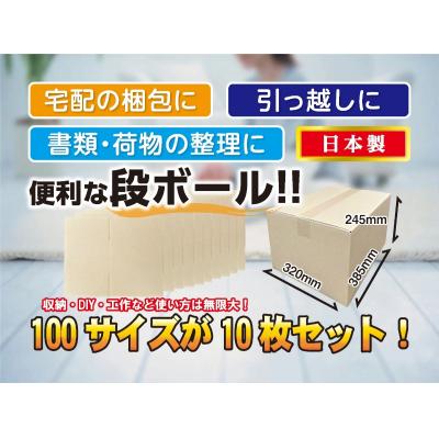 ふるさと納税 岐阜県 100サイズ 段ボール 10枚 梱包用