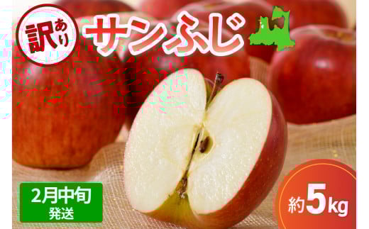 【先行受付】【2026年2月中旬発送】【訳あり】 りんご 5kg サンふじ 青森
