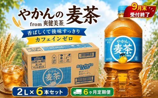 【6ヶ月 定期便 】 やかんの麦茶 PET 2L × 6本 セット 【9月末掲載終了】 お茶 麦茶 むぎ茶 2リットル ペットボトル ぺっとぼとる ぺっと お茶 おちゃ 飲料 ドリンク 飲み物 のみもの 飲物 tea 防災グッズ 日用品 生活用品 防災 備蓄 食べ物以外 コカコーラ 関東 神奈川 海老名