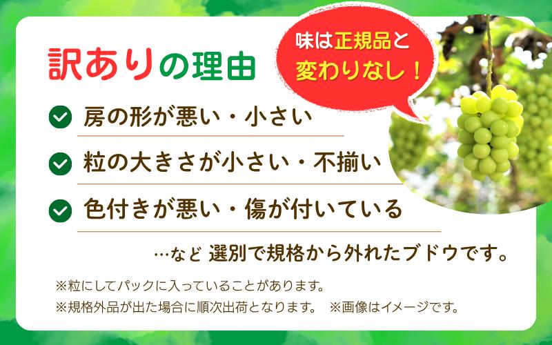 房の形が悪い・小さい、ツブの大きさが小さい不揃い、不揃い色付きが悪い・傷が付いているなど選別で規格から外れたブドウです。