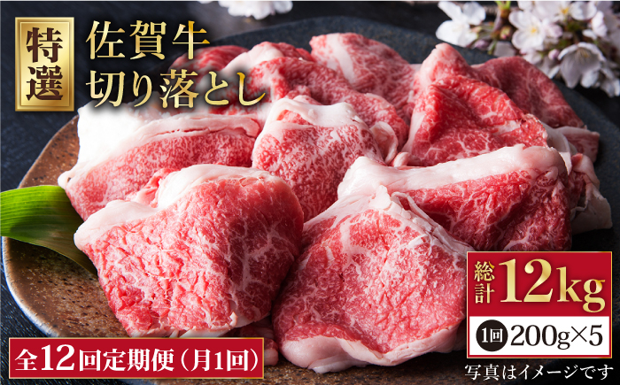 
【全12回定期便】佐賀牛 切り落とし 1kg ( 200g×5パック ) 【肉の三栄】 [HAA082]
