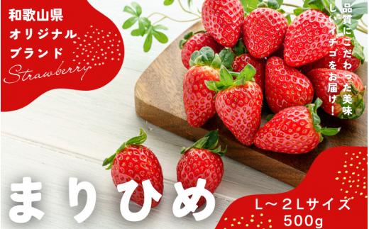 【先行予約】まりひめ いちご 12粒～15粒入り×2パック（500g）2026年1月中旬頃～2026年3月中旬頃に順次発送予定（お届け日指定不可）/ いちご 苺 まりひめ 和歌山 フルーツ 果物 くだもの【kgr007A】