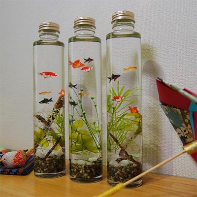 ふるさと納税 富士吉田市 金魚のハーバリウム |  | 03
