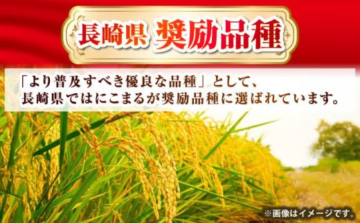 おすすめ オススメ こだわり ギフト 人気 特産品 お米 白米 ご飯