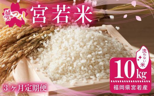 【3ヶ月連続定期便】令和7年産 夢つくし 無洗米 10kg〔5kg×2袋〕×3ヶ月 [M922-2] ごはん コメ ご飯 精米 白米 ブランド米