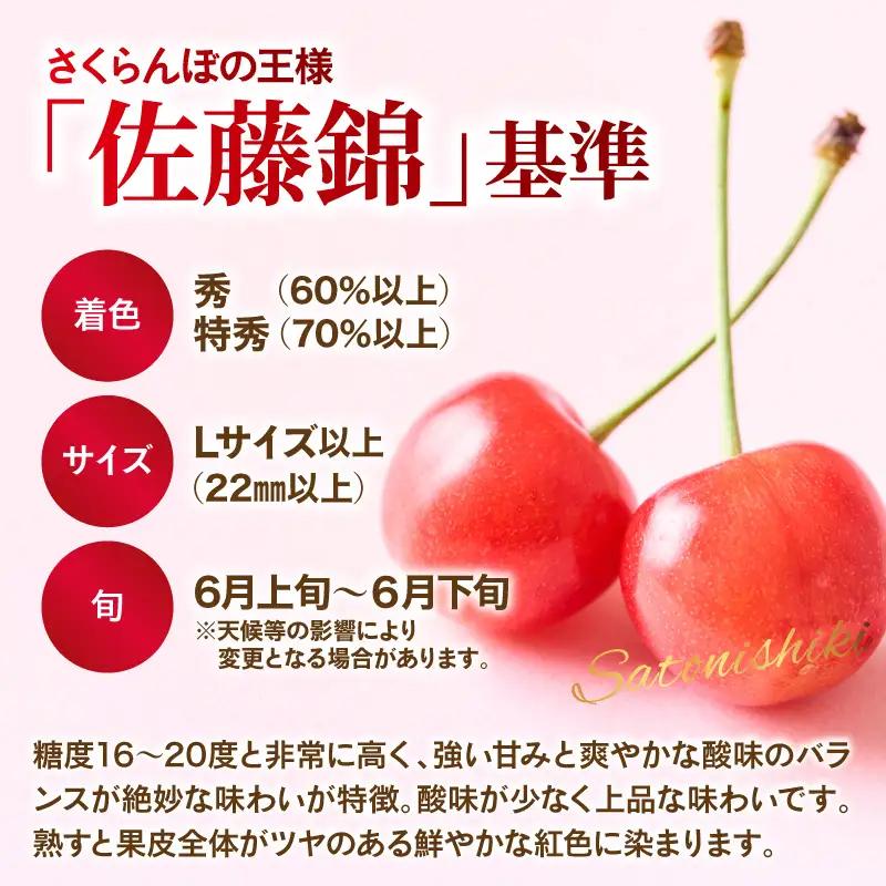 令和9年産 さくらんぼ 佐藤錦 秀品 700g さくらんぼ