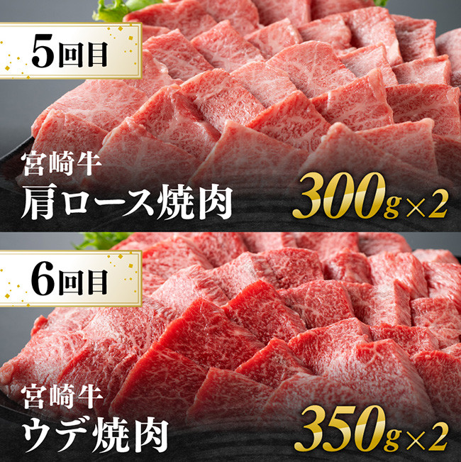 【6ヶ月定期便】宮崎牛焼肉定期便 全6回　牛肉[E11132t6]