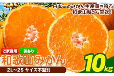 【訳あり/サイズ不選別】 和歌山みかん 約10kg 和歌山県産 《2025年11月中旬-1月中旬頃出荷》みかん