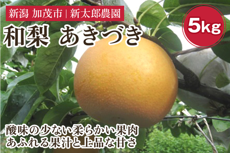 【2026年先行予約】和梨 あきづき 5kg（7〜14玉） 《9月中旬から順次発送》
