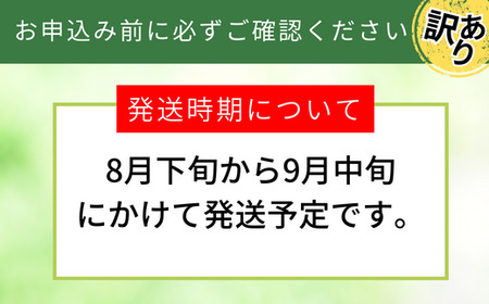 【訳あり 梨 20世紀梨 5kg（10～18玉）】9/9が最終受付です サイズバラつき有り（L～5L）農家応援 傷あり 不揃い ご家庭用 大人気 二十世紀梨 果肉はしっかり シャキシャキの食感 ほどよ