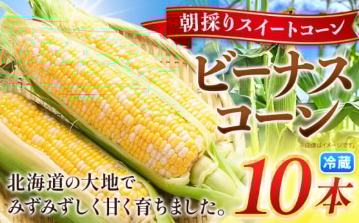朝採り とうもろこし ビーナスコーン スイートコーン 10本 《2026年8月上旬-8月末頃出荷予定》山下農場 バイカラー 大粒 コーン トウモロコシ 送料無料 北海道 本別町北海道 十勝 本別町産 冷蔵便 甘い st-p　