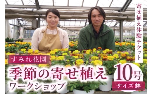 行方市の花農家「すみれ花園」季節の寄せ植えワークショップ(10号サイズ鉢)｜花 お花 季節の花 ワークショップ 体験 体験チケット ラーケーション ガーデンセラピー 寄せ植え 茨城県 行方市(EH-31)