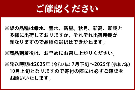 先行予約【2024年7月下旬～発送分】東光寺 梨 4.5～5kg (10～15玉) 1箱 完熟 梨 なし ナシ フルーツ 果物 くだもの 夏 旬 旬の果物 旬のフルーツ 幸水 幸水梨 豊水 豊水梨 秋