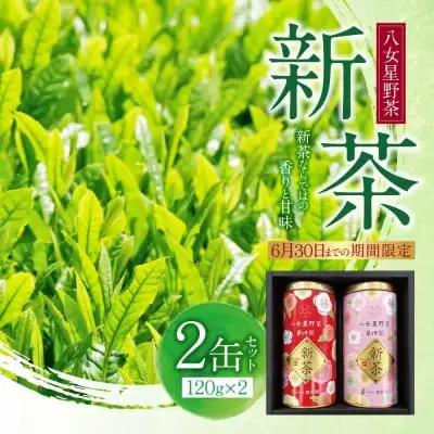 Z26-18 寄附額改定↓↓ 新茶 八女星野茶 120g×2本