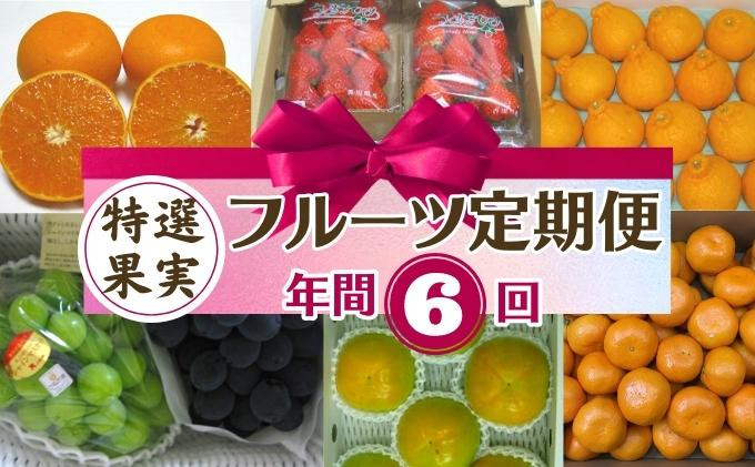 
フルーツ 定期便 特産果実 年間6回
