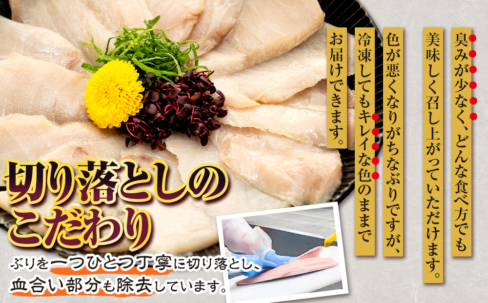 【訳あり】 ＼10営業日以内発送／ ブリ 鰤 切り落とし 計約 2kg ( 250g ×8 パック ) 南予ビージョイ buri ぶり 魚 刺身 わけあり 人気 D018-150008
