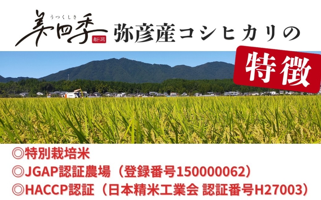 新潟県弥彦産コシヒカリ 美四季 10kg(5kg×2袋)