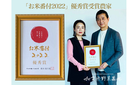 《令和7年産 新米》【お米番付優秀賞受賞農家】日本一粒の大きいお米『いのちの壱』玄米15kg