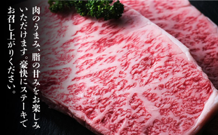 【全3回定期便】大満足！ 博多和牛 牛肉 サーロイン ステーキ 500g（250g×2）＜肉のくまもと屋＞那珂川市 牛肉 サーロインステーキ サーロイン ステーキ 牛肉 牛肉定期便 和牛定期便 定期便