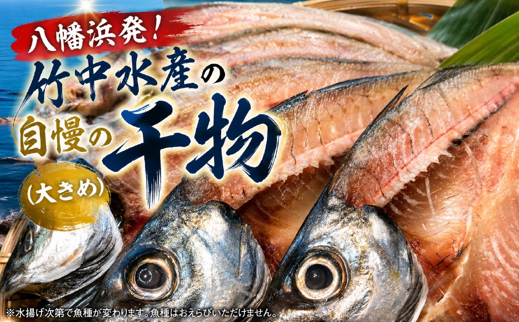 
                  八幡浜発！竹中水産の地物の干物６枚セット（大サイズ）【22-295】YWTM109
                