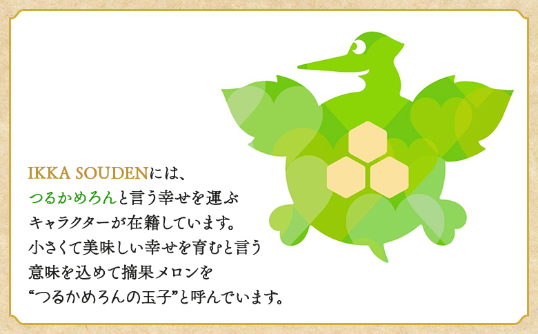 つるかめろんの玉子(摘果メロン) 4.5kg 約36玉 tn-0016