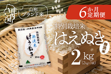 ＜5月中旬発送＞庄内米6か月定期便！特別栽培米 はえぬき 無洗米 2kg【入金期限：2026.4.25】特栽 ブランド米 米 国産 単一原料米 山形 庄内平野 コシヒカリの原点、亀の尾発祥の地 庄内 定期