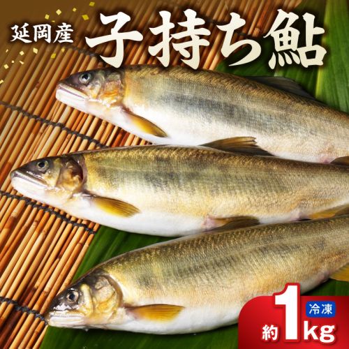 【冷凍】子持ち鮎 約１kg N070-YA5530-2