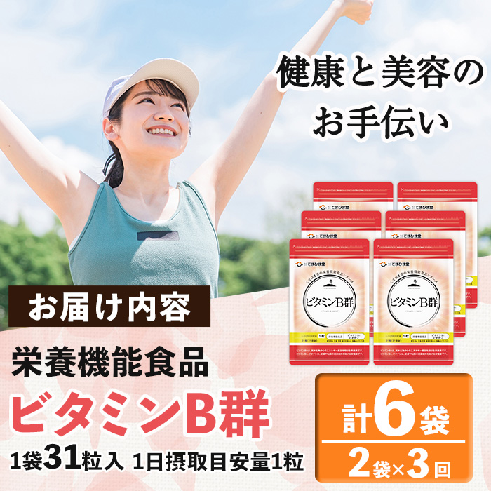 No.1300-A ＜定期便・全3回(隔月)＞ビタミンB群(1袋31粒入/2袋×3回・計6袋) 鹿児島 日置市 健康食品 サプリ 栄養バランス 食生活 安心安全 ビタミン 定期便 【てまひま堂】