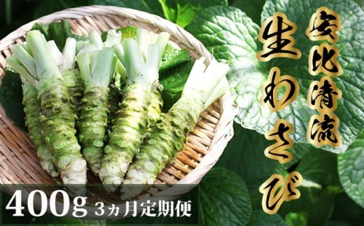岩手県産 生わさび 400g 3ヶ月定期便 【安比清流山葵園】 ／ 山葵 ワサビ わさび 薬味 国産 八幡平市産 産地直送 新鮮 調味料 刺身 ステーキ お肉 蕎麦 和え物 漬け物 刻み おろし 辛味 和食 お寿司 そば 肉の薬味 魚の薬味 そばの薬味 料理 おすすめ オススメ 日本産