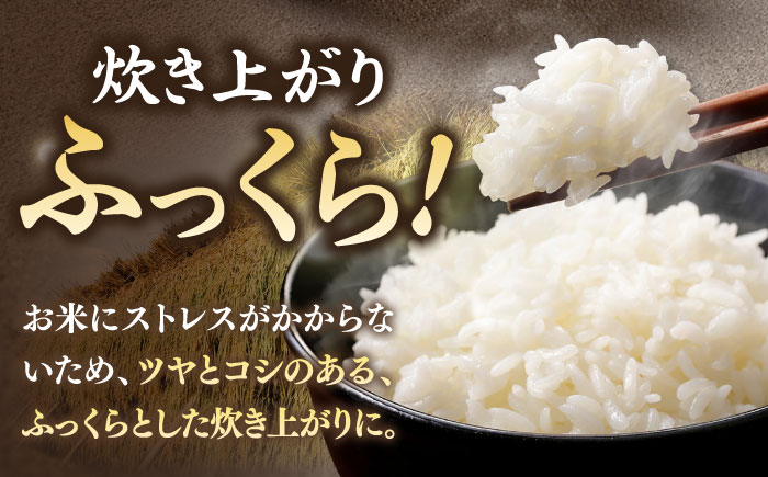 米 にこまる 壱岐産 5kg 《壱岐市》【壱岐フードファクトリー】 白米 ごはん ご飯 仕送り [JDW152]