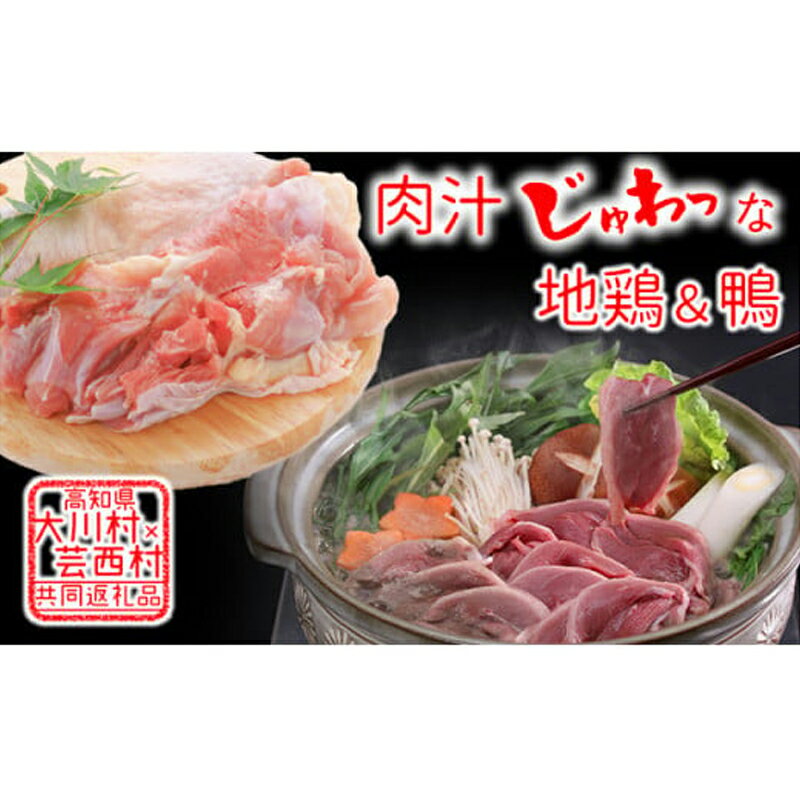 【ふるさと納税】【大川村と芸西村の共通返礼品】はちきん地鶏 もも肉 1kg＆土佐鴨 鴨鍋肉（2～3人前）セット 地鶏 モモ肉 鶏肉 鴨 鴨肉 かも肉 とり肉 とりにく 肉 高知県 大川村 F6R-124