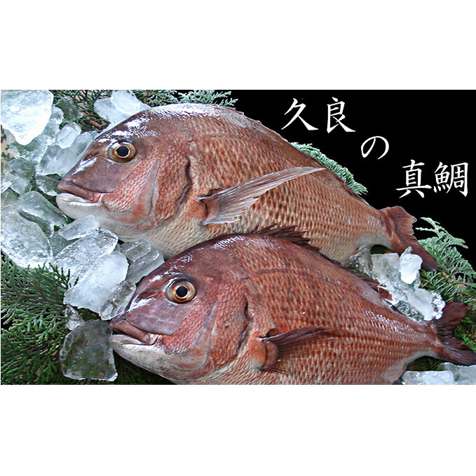【ふるさと納税】 久良 の まだい 2尾 合計 3kg 以上 15000円 真鯛 たい タイ 2匹 刺身 養殖 取り寄せ お取り寄せ 鮮魚 冷蔵 鍋 お造り 魚 海鮮 鮮魚 海鮮鍋 鯛 マダイ 年末年始 お祝い 父の日 母の日 敬老の日 誕生日 米寿 紅白 お正月 久良漁業協同組合 愛南町 愛媛県