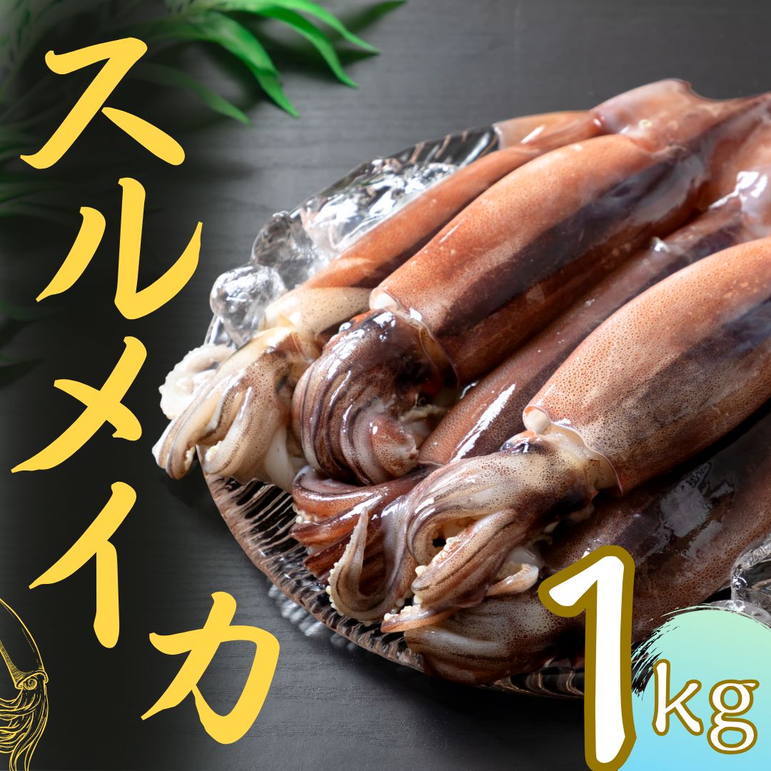 【ふるさと納税】朝どれシマメ（スルメイカ）約1kg 5~6杯 刺身 新鮮 冷凍 小分け 海士町産 寒シマメ 朝どれ鮮度 旨味たっぷり いか イカ スルメイカ CAS CAS冷凍 ギフト お中元 御中元 12月24日までのご注文で年内発送