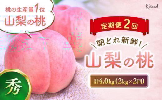 【2025年発送】定期便 もぎたて！ 桃 5～7玉 2kg 2回定期便 先行予約 先行 予約 山梨県産 産地直送 フルーツ 果物 くだもの モモ もも 朝どれ 朝採れ 新鮮 人気 おすすめ 国産 贈答 ギフト お取り寄せ 山梨 甲斐市 AD-174