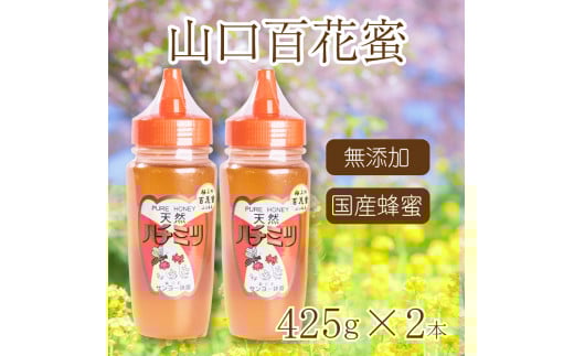 
はちみつ 国産 蜂蜜 850g ( 425g×2 ) 国産100% 百花蜜 山口県産 下関
