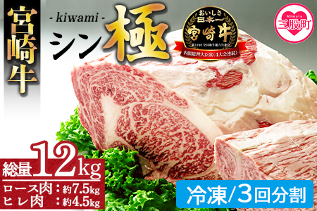 ＜宮崎牛『シン極(きわみ)』ロース肉約7.5kg、ヒレ肉約4.5kg (冷凍・3回分割)＞ 国産ブランド牛 黒毛和牛【MI019-nk-i-03】【中村食肉】