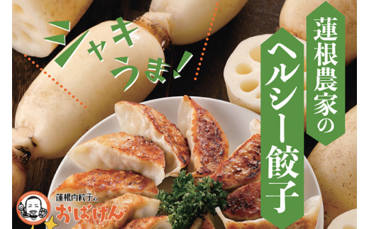 ＼先行予約／【ふるさと納税限定品】蓮根肉餃子のおばけん 70個入り 【冷凍 調理済み おかず ギョウザ ぎょうざ 大容量 おいしい れんこん入り レンコン 時短 ごはん】（KBU-2）