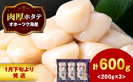 【1月下旬発送】 ほたて 貝柱 冷凍(15粒前後)200ｇ×3パック 小分け お取り寄せ 刺身 《横田水産》 北海道ホタテ ホタテ玉冷 刺身用 帆立 冷凍 刺身 オホーツク 海鮮 食品 北海道ふるさと納税