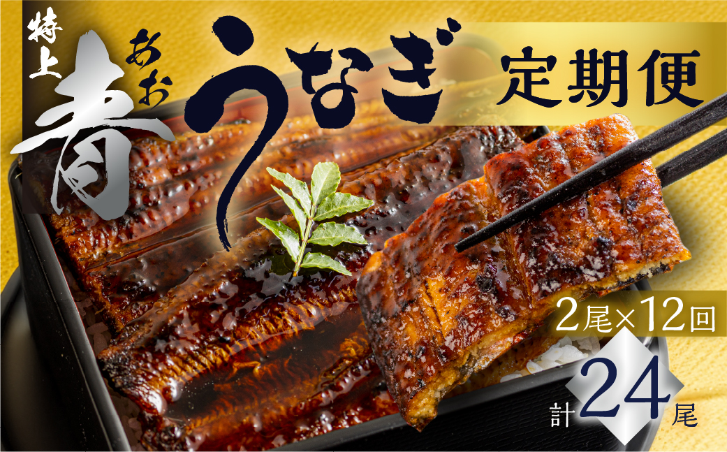 厳選 高級 青うなぎ 蒲焼 2尾 全12回 定期便  合計24尾  ( うなぎ うなぎ定期便 12回 １２ 定期  12ヶ月 12ヵ月 12か月 1年 144000円 )　