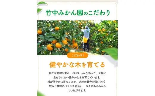 【でか甘】有田みかん 5kg 大玉みかん L～2L混合【tkn004-l-5A】