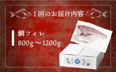 【全12回定期便】壱岐産 鯛 フィレ 800gから1.2kg [JDT035]