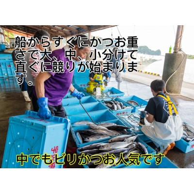 ふるさと納税 南国市 モチモチ食感!釣れたて発送!ビリかつおわら焼きタタキ300g×4節(タレ・ニンニク付) |  | 03