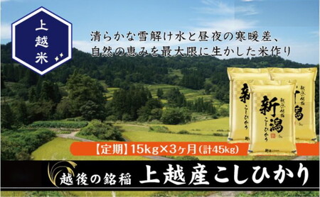 令和7年産 新潟県上越産こしひかり 精米 15kg 3か月定期便 上越市 米 コメ コシヒカリ