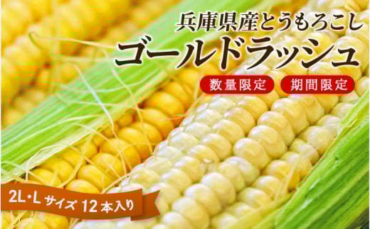 【先行予約】 【数量限定】 とうもろこし 【2025年7月上旬から8月上旬にお届け予定】 兵庫県産 ゴールドラッシュ 12本入 2L 5kg