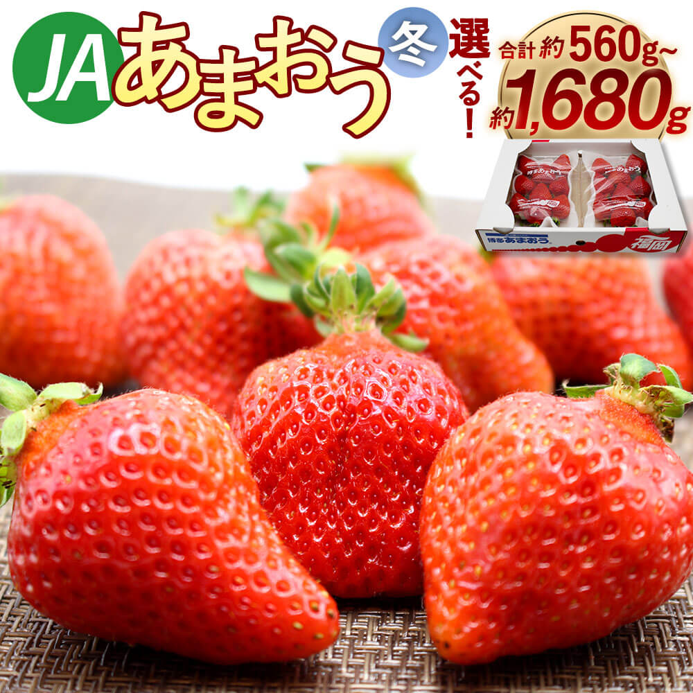 【ふるさと納税】＜選べる 容量＞【予約】博多あまおう （冬）2/4/6パック 合計約560g～約1680g 1パック約280g【2025年12月上旬～2026年1月下旬発送予定】 あまおう いちご 苺 イチゴ フルーツ 果物 九州産 福岡県産 冷蔵 送料無料