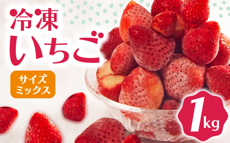 冷凍 いちご 1kg 完熟 ヘタ取り サイズミックス 【 いちご 果物 いちご 苺 いちご 冷凍いちご 滋賀県 竜王町 ひさだ苺農園 】