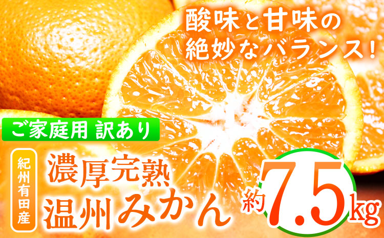 【先行予約】【ご家庭用訳あり】紀州有田産 濃厚完熟温州みかん 約7.5kg 株式会社魚鶴商店《2025年11月下旬-2026年2月上旬頃出荷》 和歌山県 日高町 みかん 温州みかん 完熟 濃厚 柑橘 ご家庭用---wsh_uot91_11g2j_25_15000_75---