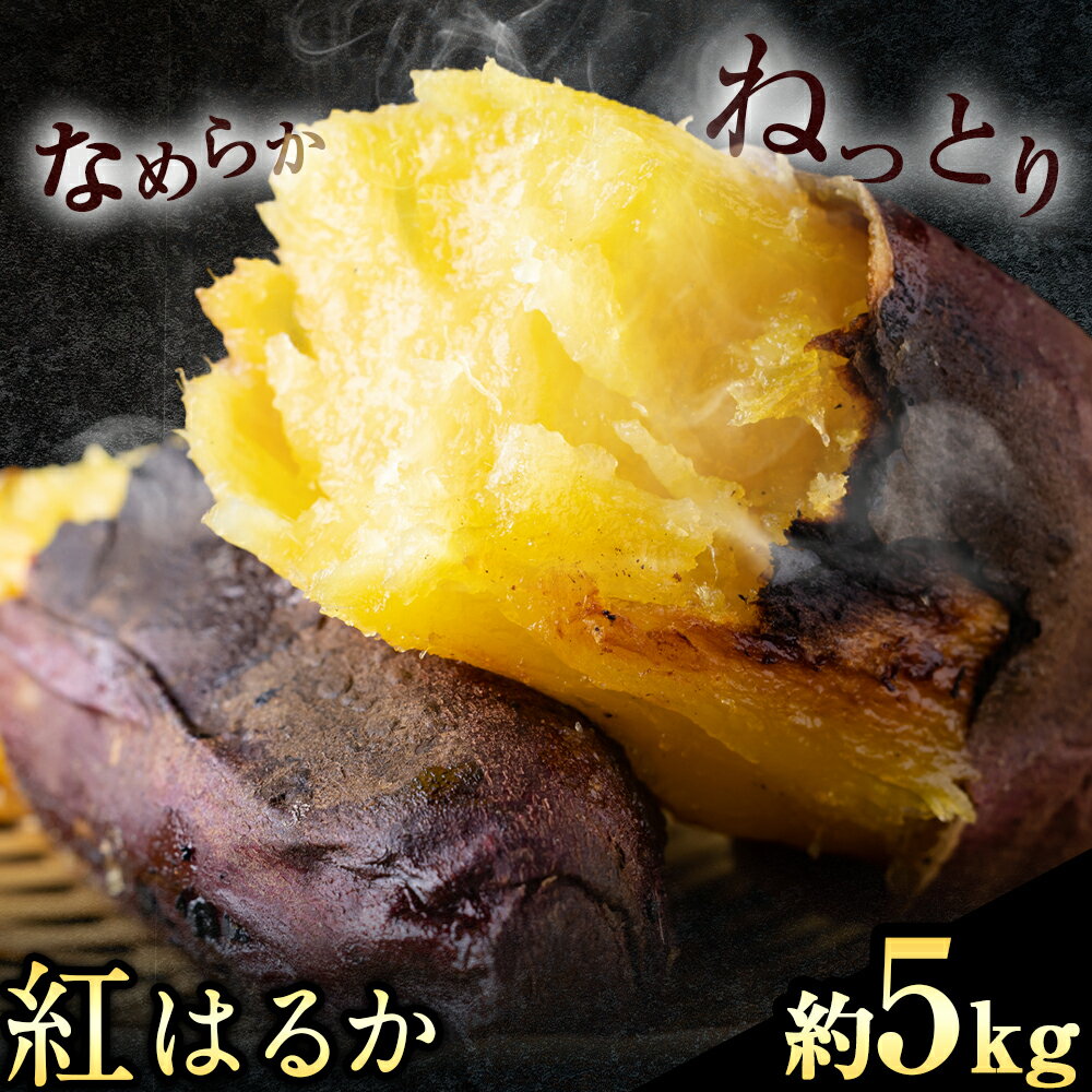 【ふるさと納税】紅はるか 約5kg《30日以内に出荷予定(土日祝除く)》熊本県 御船町 秋 旬 野菜 有限会社ニシムラ