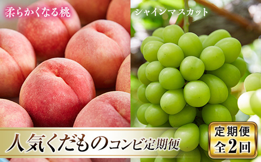 《先行予約 2025年発送》人気くだものコンビ！定期便～ももとシャインマスカット～  もも モモ 桃 デザート フルーツ 果物 くだもの 果実 食品 山形県 FSY-0213