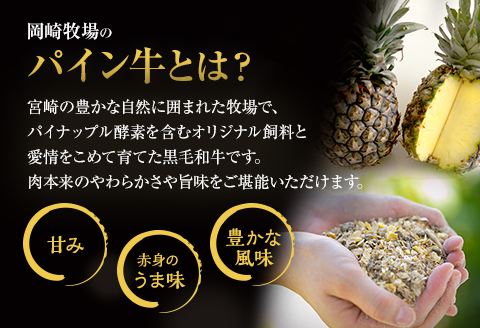 宮崎県産 黒毛和牛 パイン牛 ロース 焼肉 500g